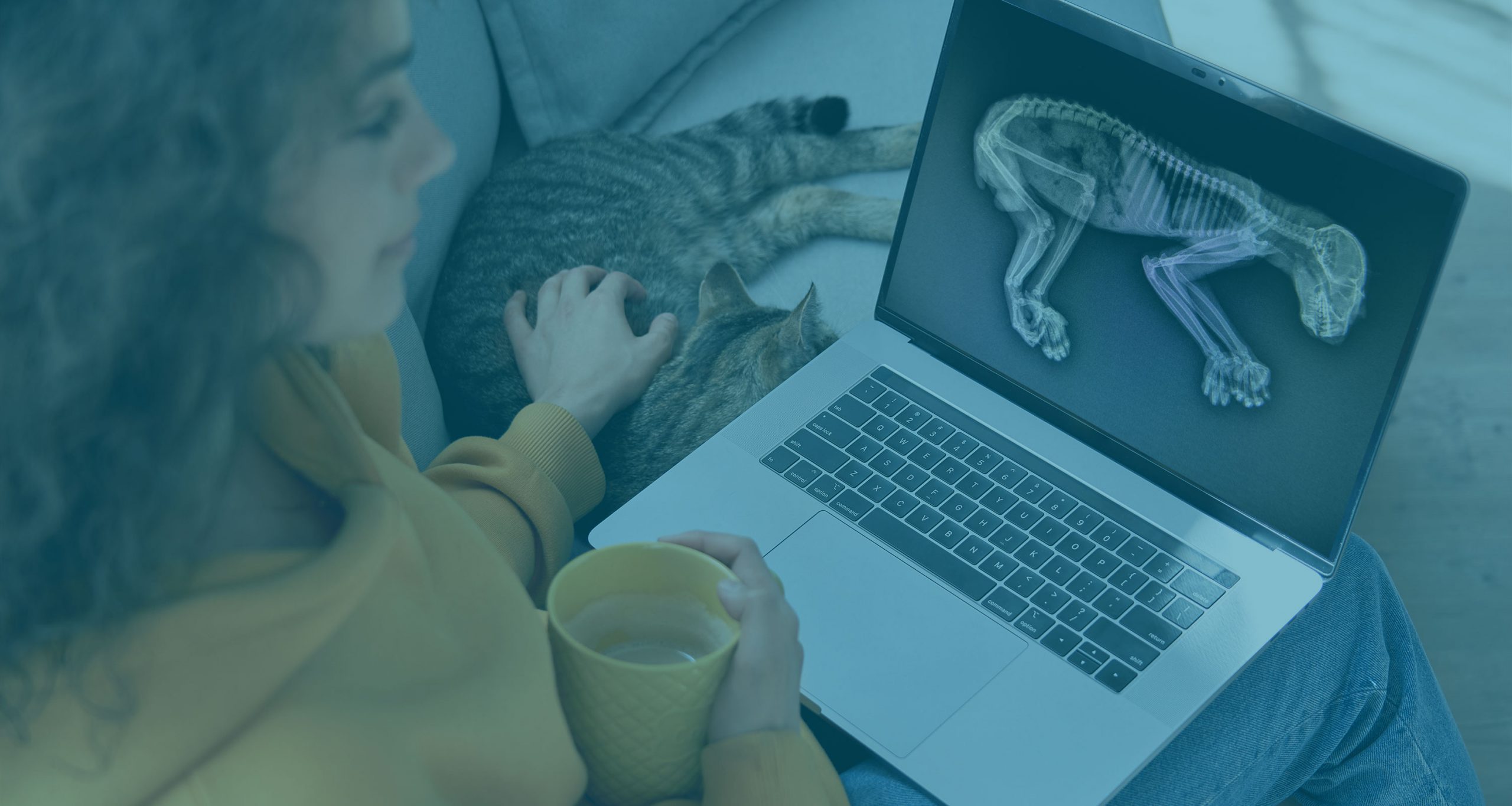 Learn basic veterinary radiology skills<br/>in the comfort of your own home